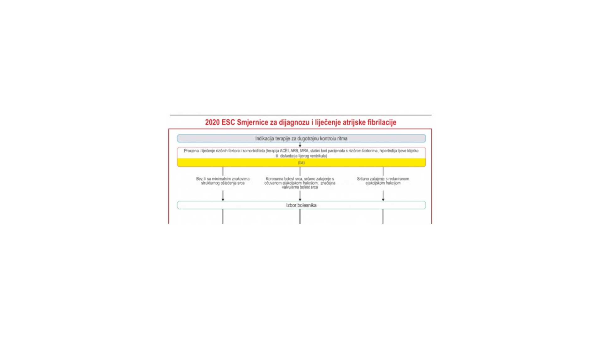 2020 ESC smjernice za atrijsku fibrilaciju